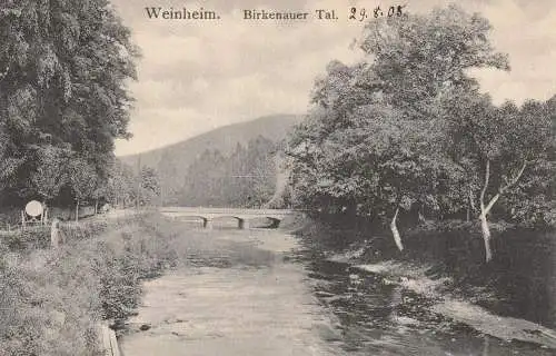 6940 WEINHEIM, Birkenauer Tal, 1905