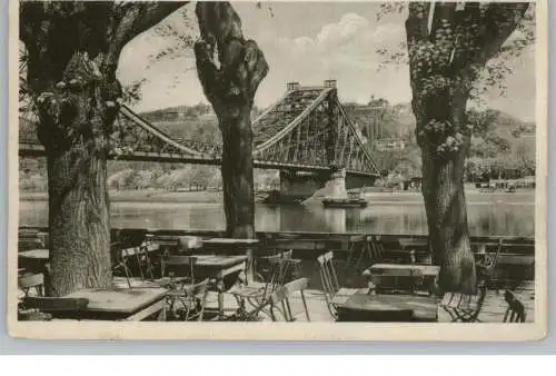 0-8000 DRESDEN, Elbbrücke, Verlags-Exemplar