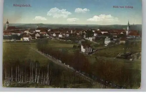 0-8293 KÖNIGSBRÜCK, Blick vom Auberg