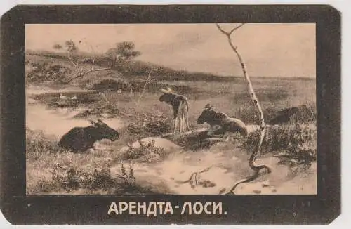MILITÄR - 1.Weltkrieg, Kriegslazarett 54 (Russland?), 1917, "Sendet keine Lebensmittel"