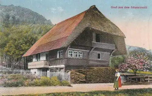 LANDWIRTSCHAFT - Bauernhaus im Schwarzwald, Verlag Manias - Strassburg