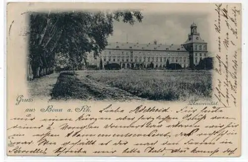 5300 BONN, Luzernenfeld vor der Universität !! 1898