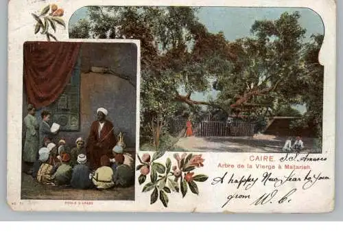 EGYPT - CAIRO, Ecole Arabe, Arbre de la Vierge a Matarieh, 1905