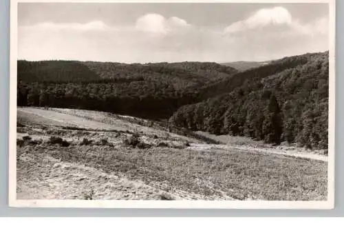 5248 WISSEN - KATZWINKEL - ELKHAUSEN, Blick von Erholungsheim Haus Marienberge