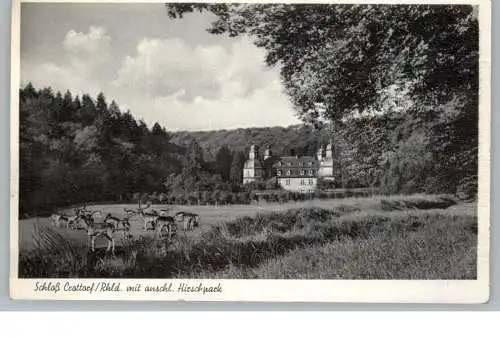 5242 KIRCHEN - FRIESENHAGEN, Schloß Crottorf, 1953