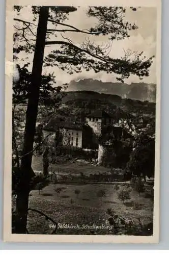 A 6800 FELDKIRCH, Schattenburg