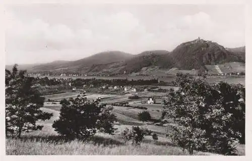 5300 BONN - BAD GODESBERG - MEHLEM, Blick auf Mehlem und das Siebengebirge, 50er Jahre, Verlag Schöning