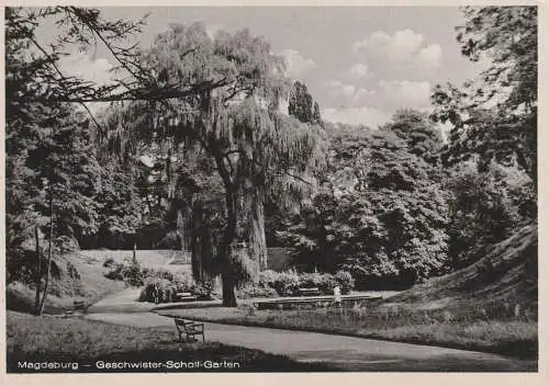 0-3000 MAGDEBURG, Geschwister-Scholl-Garten, 1954, Verlag Garloff