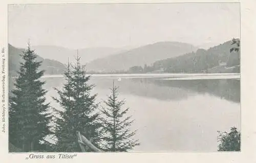 7820 TITISEE-NEUSTADT, Gruß aus...