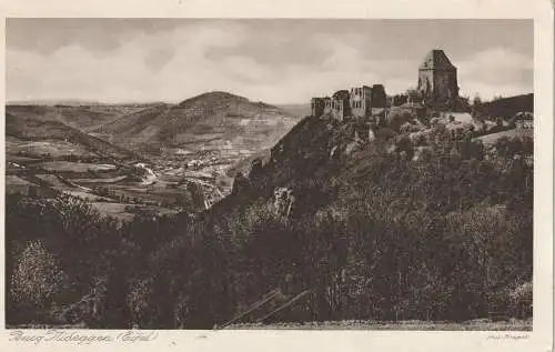 5168 NIDEGGEN, Blick auf die Ruine, 1927, Verlag Krapohl
