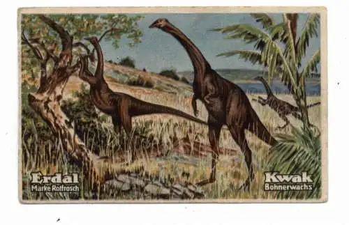 TIERE PRÄHISTORISCH - STRUTHIOMIMUS, Erdal Sammelbild / Cinderella