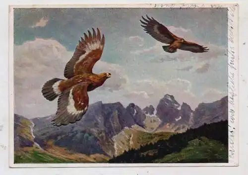 JAGD / Hunting / Jacht / Caccia / Chase / Caza / Lowiectwo, Kreisende Adler, Hans Schmidt, Deutsche Jägerschaft 1939