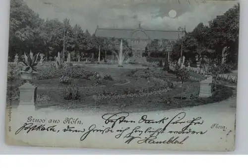 5000 KÖLN, FLORA, Mondscheinkarte 1905