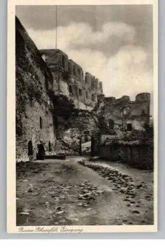 5401 SANKT GOAR, Burg Rheinfels, Eingang