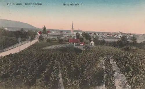6705 DEIDESHEIM, Gesamtansicht aus den Weinbergen, 1919