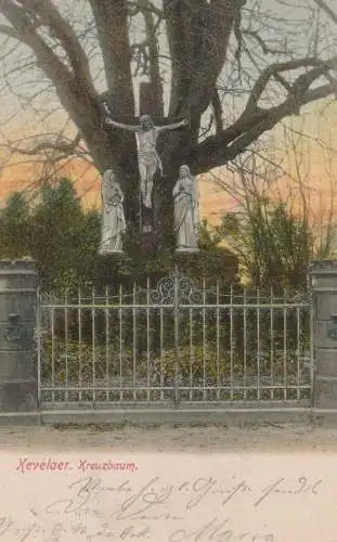 4178 KEVELAER, Kreuzbaum, 1903