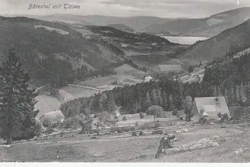 7820 FELDBERG - BÄRENTAL mit Titisee, 1906, Trenkler