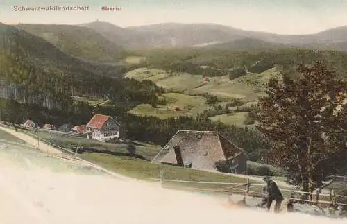 7820 FELDBERG - BÄRENTAL, Blick über das Dorf, 1905, Trenkler