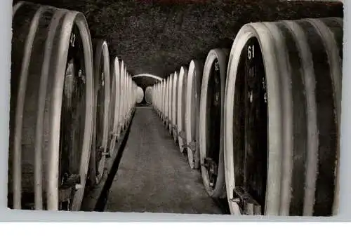 5486 ALTENAHR - MAYSCHOSS, Mayschosser Winzer-Verein, Weinfässer