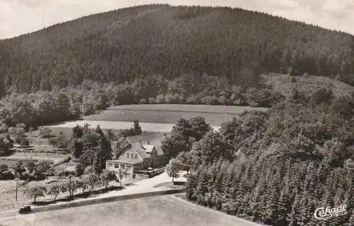 4505 BAD IBURG, Gasthaus zum Dörenberg, Luftaufnahme, 195...