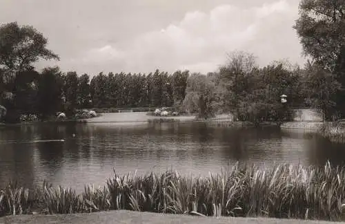 4650 GELSENKIRCHEN, Stadtpark, 1955