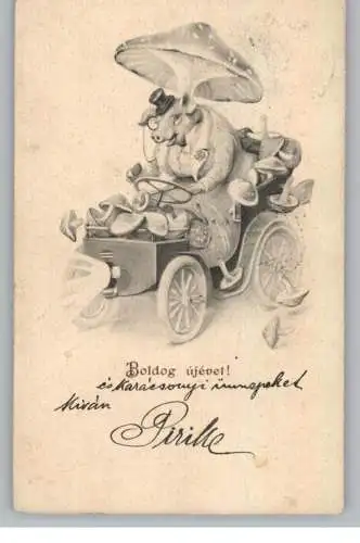 SCHWEINE / Pics / Varkens / Cochons, Glücksschwein mit vielen Pilzen im Auto, 1902