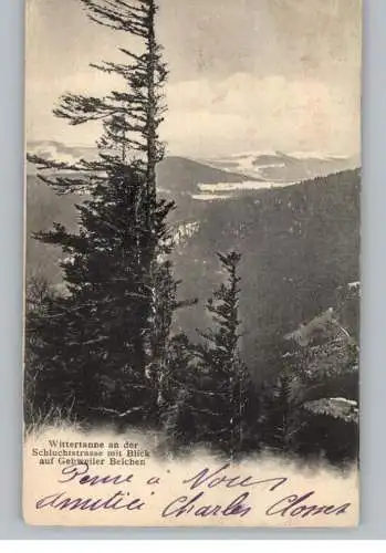 F 68500 GEBWEILER / GUEBWILLER, Wintertanne an der Schluchtstrasse mit Blick auf Gebweiler - Belchen, 1904, Luib