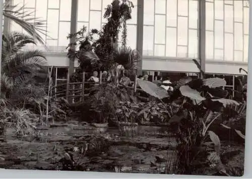1000 BERLIN - FRIEDRICHSFELDE, Tierpark / Zoo, Tropenhalle, Alfred-Brehm-Haus