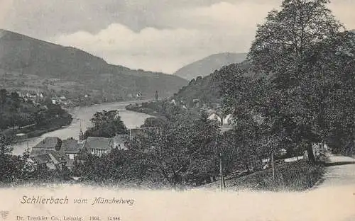 6900 HEIDELBERG - SCHLIERBACH, Blick vom Münchelweg, 1904, Verlag Trenkler