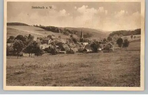 8641 STEINBACH am Wald, Blick über den Ort, 1932