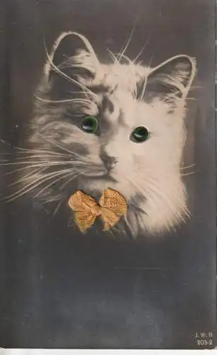KATZEN / CATS / CHATS, Katze mit Glasaugen und Schleife, Verlag Wollstein