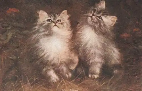 KATZEN / CATS / CHATS, "The Twins", Verlag Salmon Sevenoaks