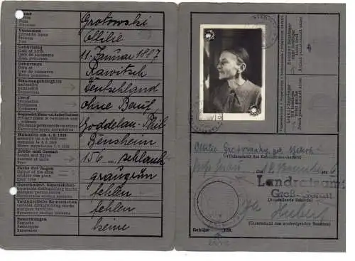 AUSWEIS / PASSPORT / CARTE D'IDENTITE, Deutsche Kennkarte, 1946 Groß - Gerau