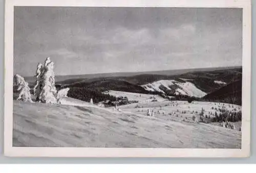 7820 FELDBERG, Eistannen am Feldberg mit Hotel Feldbergerhof