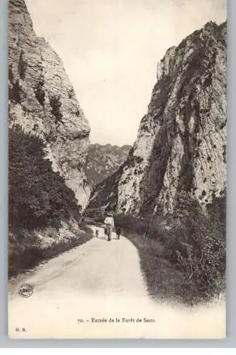 F 26450 SAOU, Entree de la Foret da Saou, ca. 1905