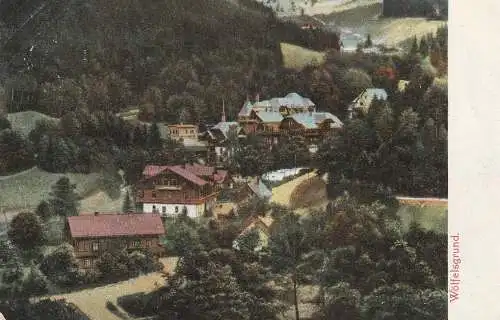 NIEDER - SCHLESIEN - WÖLFELSGRUND / MIEDZYGORZE, Blick in das Dorf, 1913