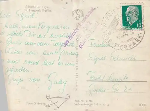 [Echtfotokarte schwarz/weiß] GESCHICHTE - DDR PROPAGANDA, "Dem deutschen Friedensstaat, unserer DDR gehört die Zukunft", 1963, Nadelloch - Druckstelle. 