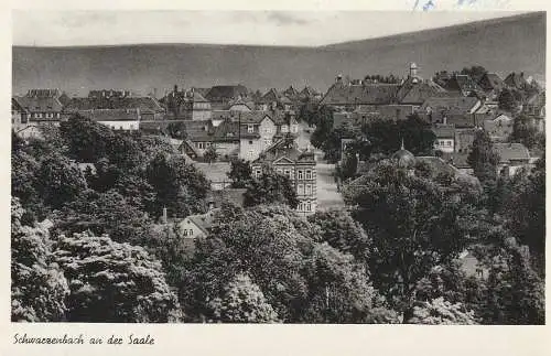 8676 SCHWARZENBACH / Saale, Blick über den Ort, 1953