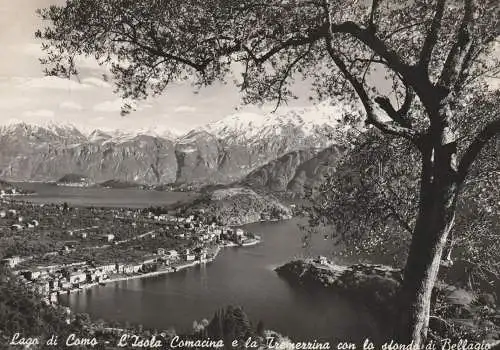 I 22021 BELLAGIO / L'ISOLA COMACINA / TREMEZZINA, 1951