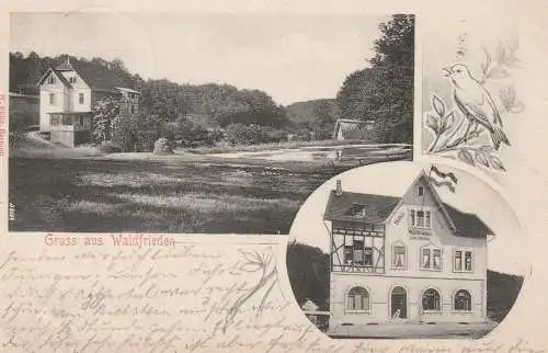 5276 WIEHL - BIELSTEIN, Hotel Waldfrieden, 1908