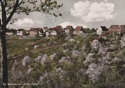 7057 WINNENDEN - BREUNINGSWEILER, Blick auf den Ort, Weinberge..1962