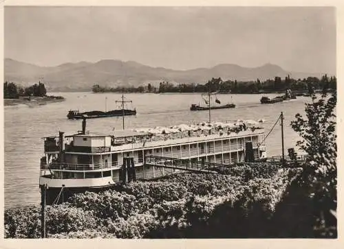 BINNENSCHIFFE - RHEIN, Hotelschiff "KRURRHAHN" vor Bonn