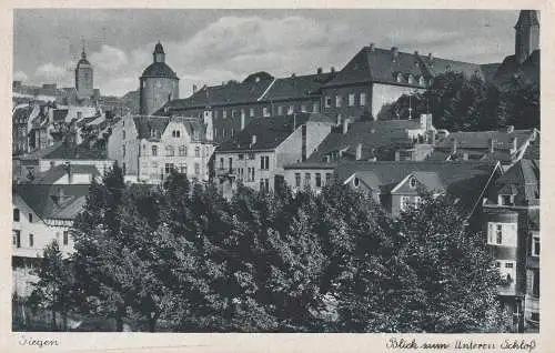 [Ansichtskarte] 5900 SIEGEN, Blick zum Unteren Schloß. 