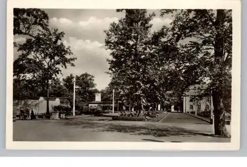 [Ansichtskarte] 1000 BERLIN - FRIEDRICHSFELDE, Eingang zum Tierpark / Zoo, 1955. 