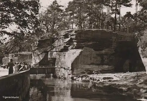 [Ansichtskarte] 8500 NÜRNBERG, Tiergarten / Zoo, Tigerschlucht, 1957. 