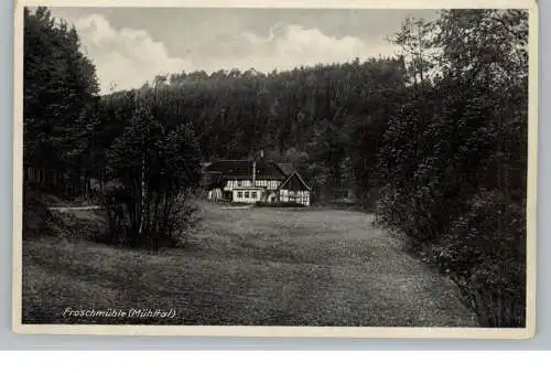 [Ansichtskarte] 0-6520 EISENBERG, Froschmühle im Mühltal. 