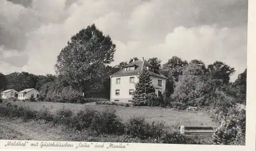 [Ansichtskarte] 5232 FLAMMERSFELD - SCHÜRDT, Hotel - Pension Waldhof mit Gästehäuschen. 