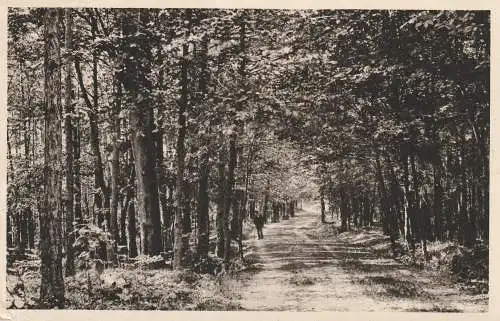 [Ansichtskarte] BÖHMEN & MÄHREN - WEMSCHEN / MSENO, Weg gegen Poklicky, 1944, kl. Eckknick. 