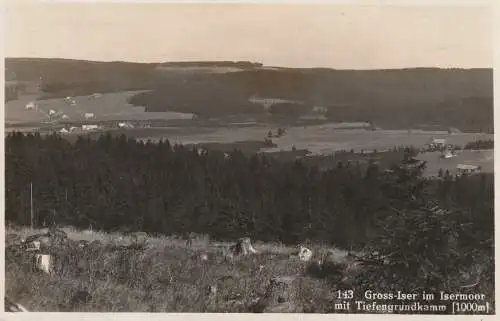 [Ansichtskarte] NIEDER - SCHLESIEN - FRIEDEBERG - GROSS ISER / MIRSK - WIELKA IZERA, Blick über die Wüstung. 