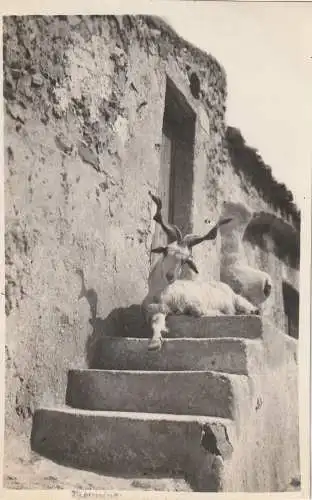 [Ansichtskarte] I 92100 AGRIGENTO / GIRGENTI, Mai 1929, Dorfszene, Crupi - Taormina. 